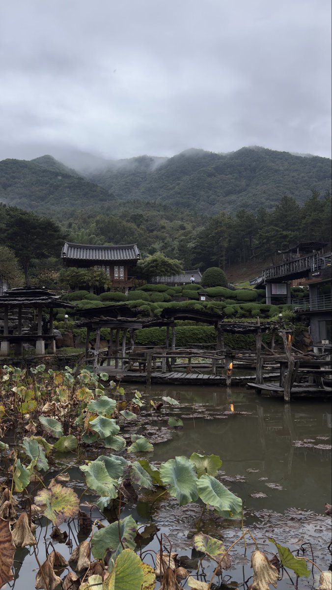 ereisme's tweet photo. 산청 수선사 

조경이 아름다운 절로 모 프로그램에 소개된 적이 있어 엄마가 이번 여행에 꼭 가보고 싶다고 했던 사찰. 실제 사찰은 아담하나(대웅전 한 곳이 건물로 있고, 나머진 석탑과 석불 몇 개가 있다) 조경이 정말 너무너무 아름다웠다... 늦게 도착해 많이 즐기지 못한 게 아쉬워 https://t.co/Td66s2hyZG