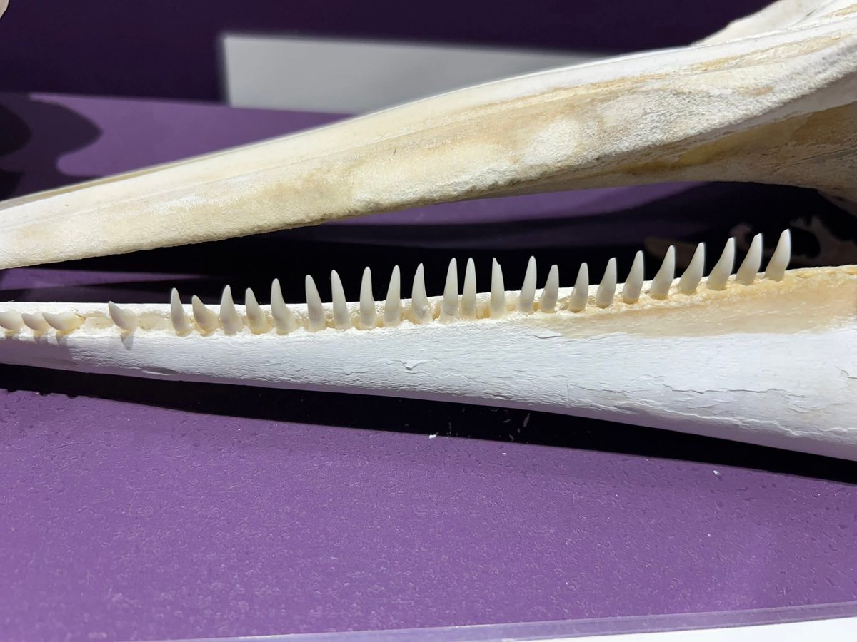 るるる (@rurur12121) / Posts / X