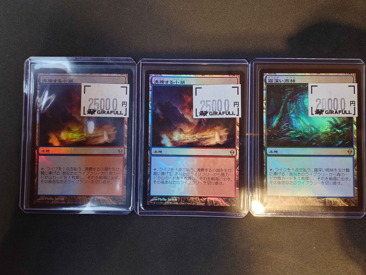 計6枚 MTG フェッチ 沸騰する小湖 霧深い雨林 乾燥台地 他 36a05226-a3f7-4d4a-9337-