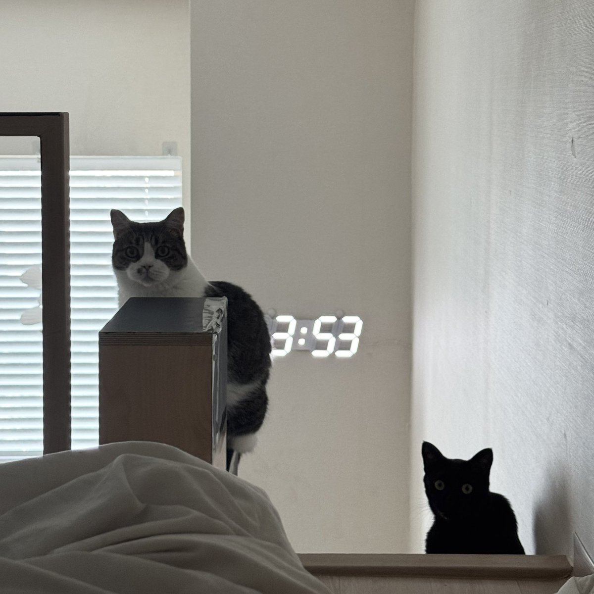 단밤 ✧☾ tweet media