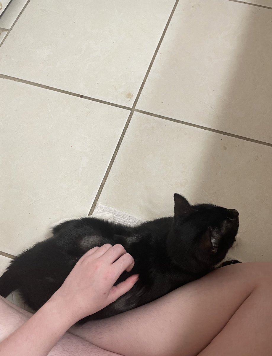 itzmefig's tweet image. let’s snug in mine favorite room (bafroom) with mama