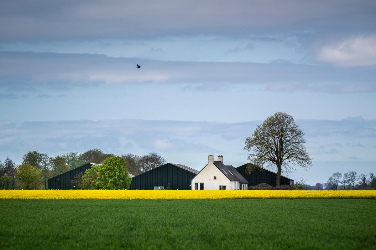 DeHaan of IMG? Het is belangrijk om te weten dat je geen succesvolle aanvraag bij ons kan doen, als je via DeHaan een vergoeding voor immateriële schade van de NAM ontvangt. Wij kunnen je niet adviseren over een keuze. Lees hier meer:  bit.ly/47dLNZ3