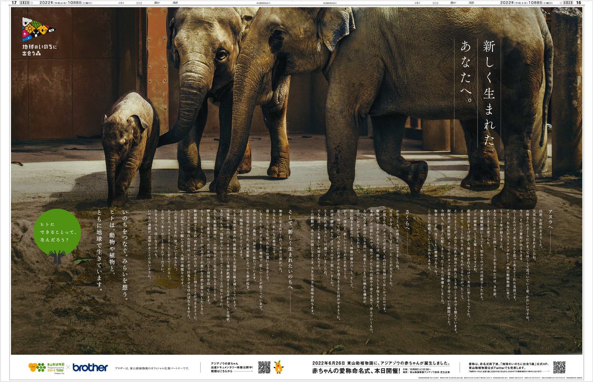 BrotherBrandJp's tweet image. 3年前の今日は、東山動植物園のアジアゾウ「うらら」の命名式が行われた日です🐘👼
ブラザーは命名式当日、中日新聞に広告を掲載。
飼育員からアジアゾウの親子たちに宛てた手紙形式で、いのちのつながりの大切さを発信しました
赤ちゃんの頃のうららの姿はこちらから⬇️
sdgsstory.global.brother/j/topics/499/?…