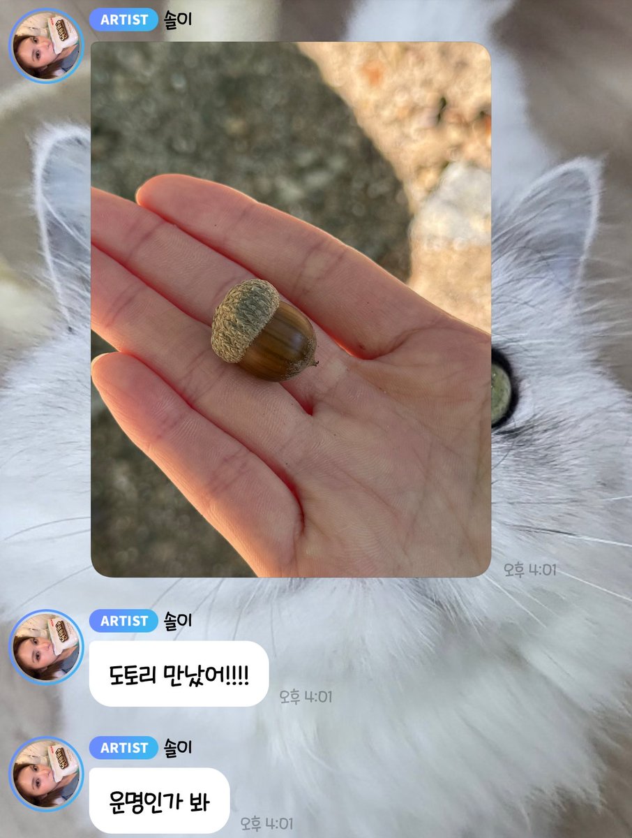 B2N_of_BAE's tweet photo. #배블왔솔
갈참나무 도토리를 주운 진솔아... https://t.co/arr51ozlVm