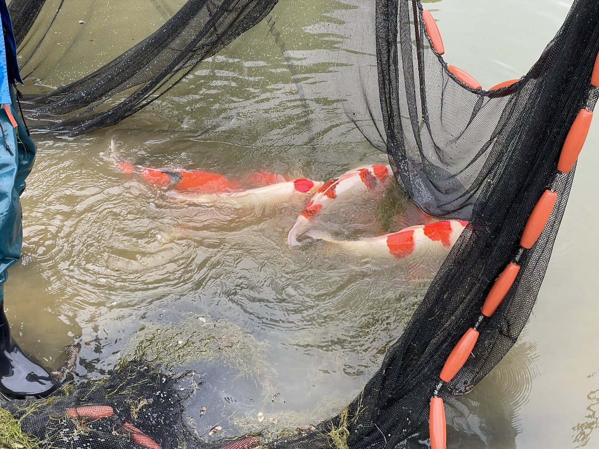 良い経験をしました。
#山古志