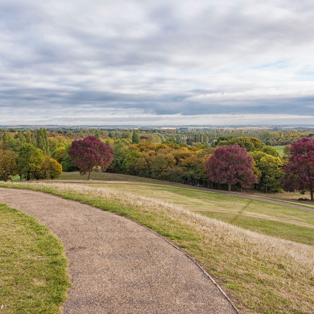 TheParksTrust's tweet photo. Join us this Friday for an accessible guided walk of Campbell Park!

To take part, meet at @MK_Gallery at 10:30am where there is accessible parking, toilets and a café. 

We will be joined by a British Sign Language interpreter.

Find out more: https://t.co/tINL1ja5QD https://t.co/UPL4VRoRwS