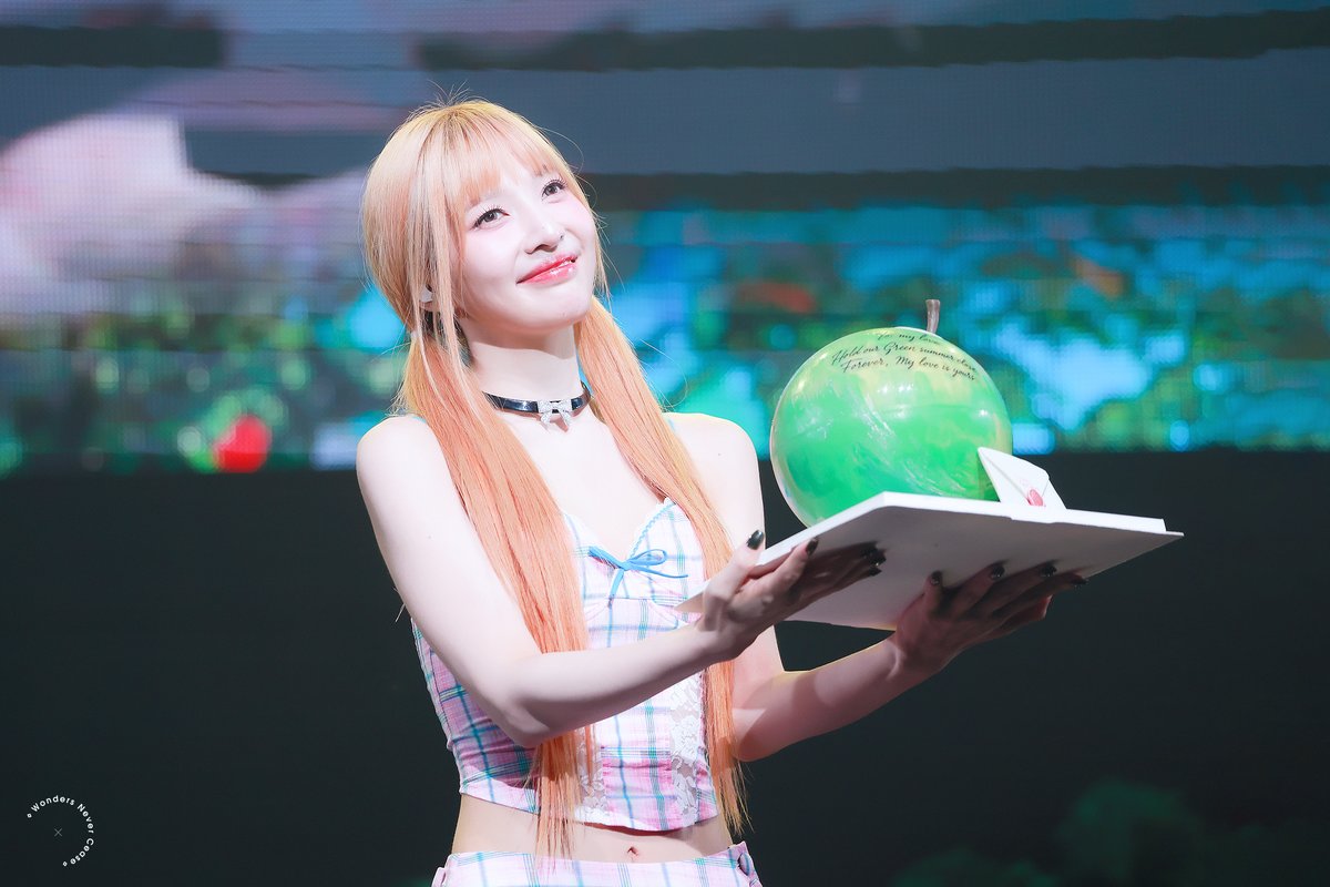 WONDERS NEVER CEASE tweet media