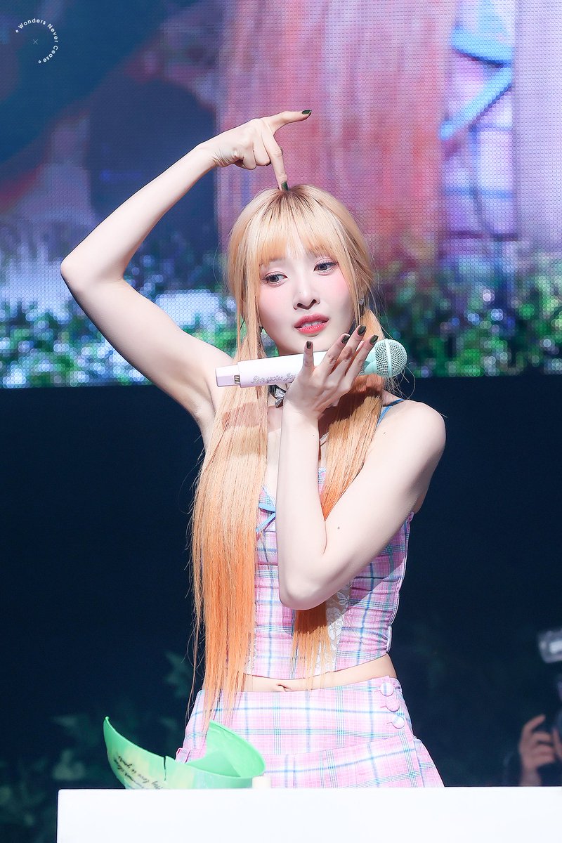 WONDERS NEVER CEASE tweet media