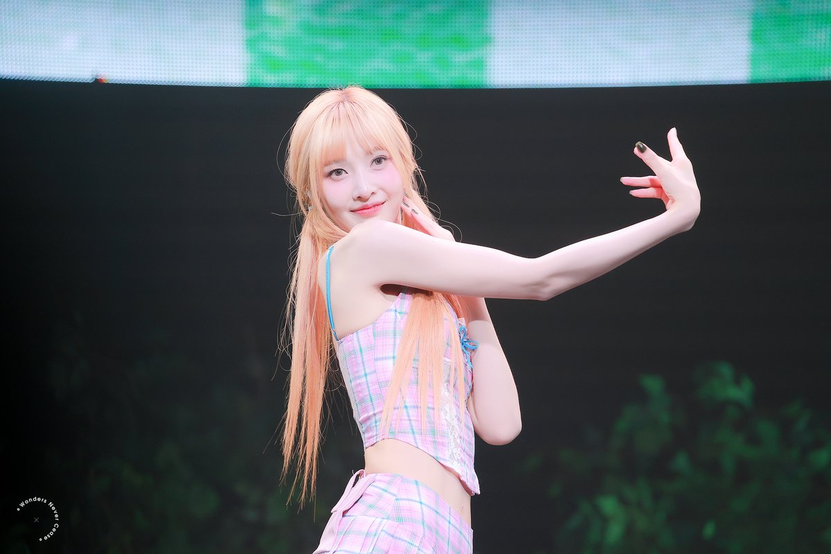 WONDERS NEVER CEASE tweet media