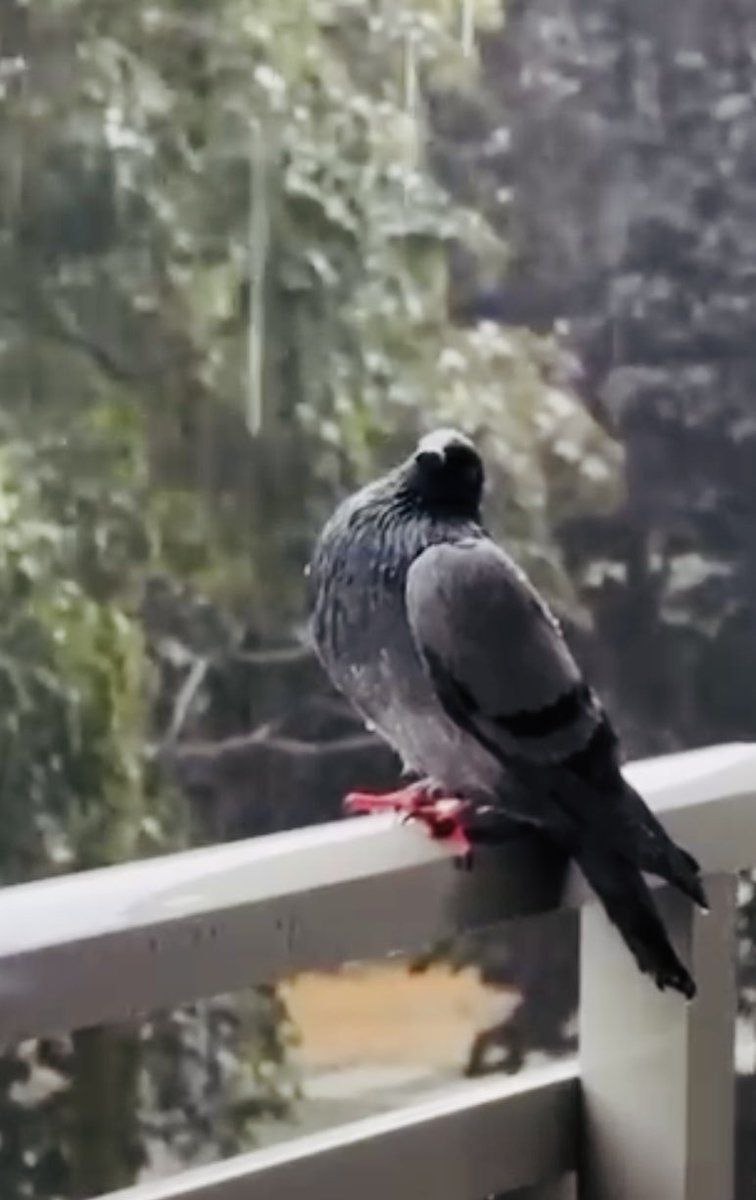 Uçmak  Değil Mesele
Bazen Sadece 
Yukarıdan Bakmak Yeterli
Merhaba Diyelimmi….