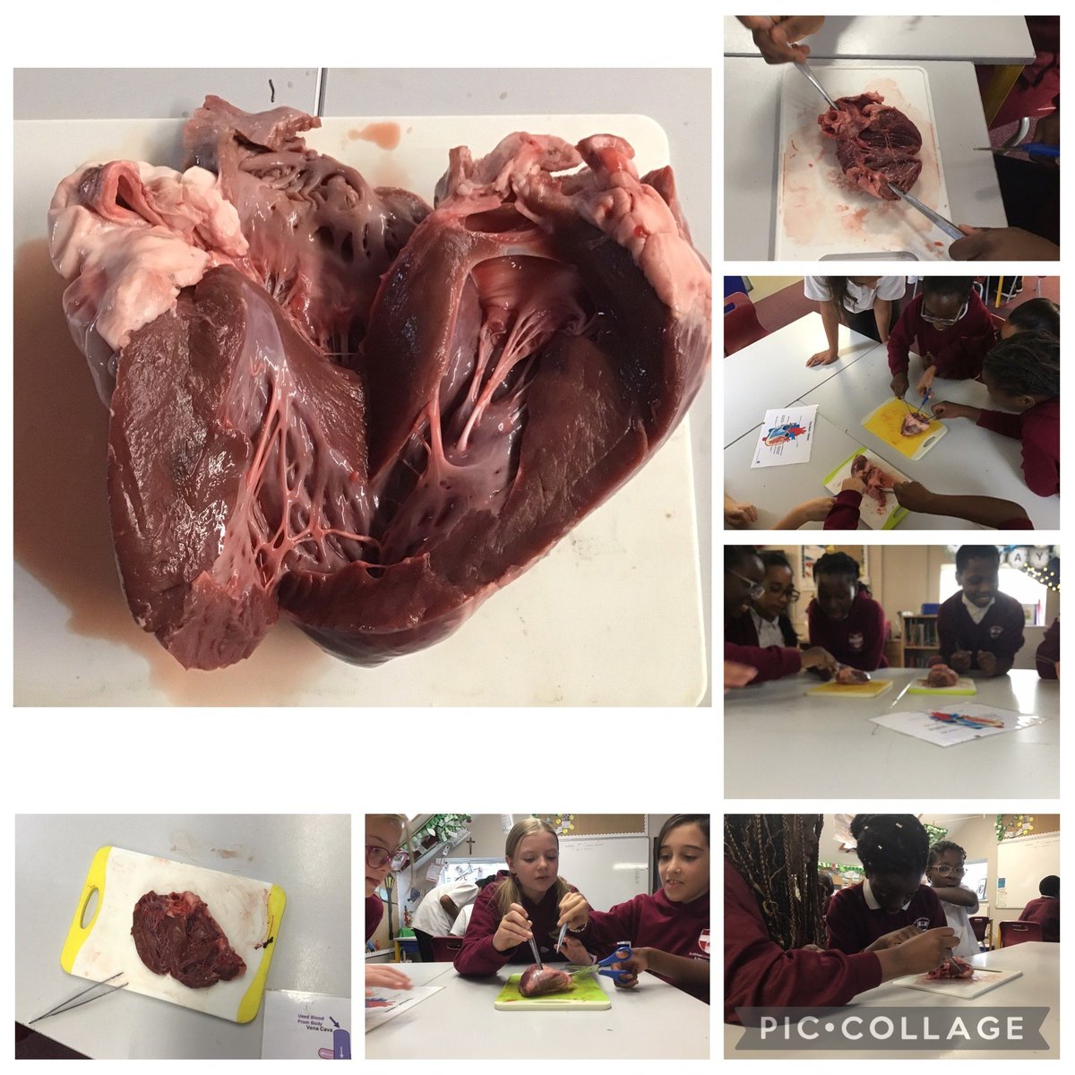 St.Michael's RCP tweet media