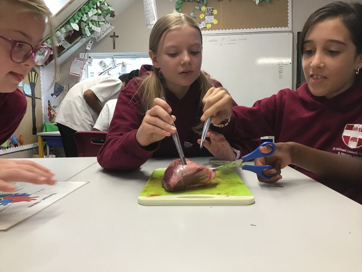 St.Michael's RCP tweet media