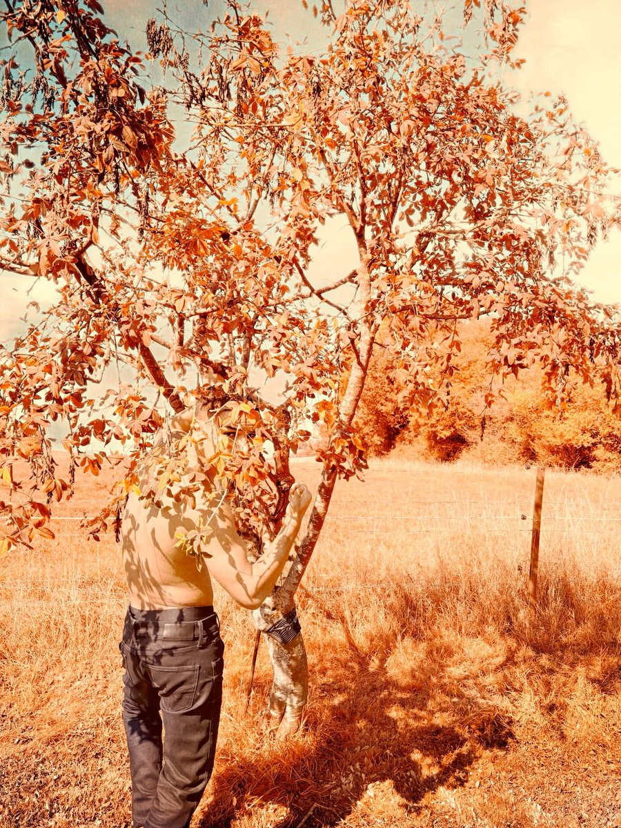 KolyoModel's tweet photo. 🍂🍁 @CalvinKlein https://t.co/fgQUDC3yRm