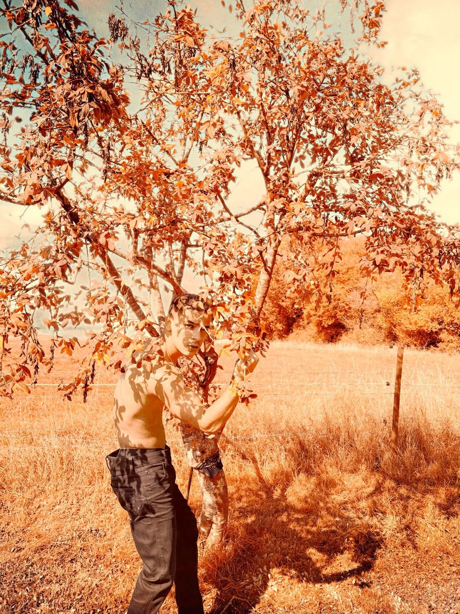 KolyoModel's tweet photo. 🍂🍁 @CalvinKlein https://t.co/fgQUDC3yRm