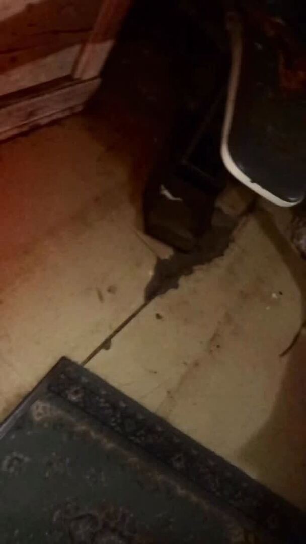 spookersnz's tweet image. Big smiles please 🤭

#spookers #makeupsfx #dentist #scareactor #hauntedattraction #halloween instagr.am/p/DPihpQkEWSl/