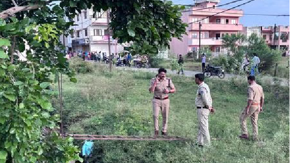 DeshbandhuMp's tweet image. भोपाल : खाली प्लॉट से मानव अंग हुए बरामद
deshbandhump.com/bhopal-vacant-…
#Bhopal #vacantplot #human #organs #recovered