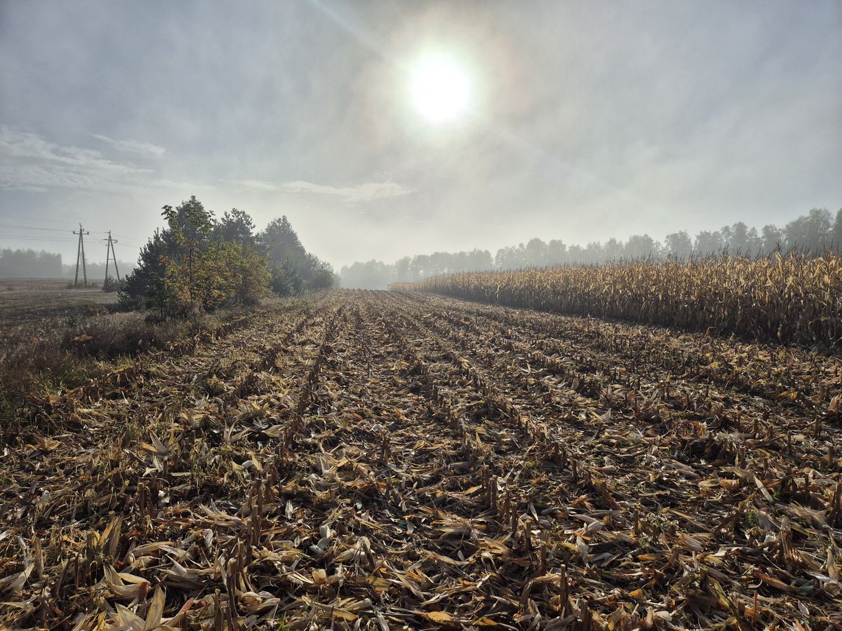 Jestem trochę p...... to są  emocje
Misja trwa