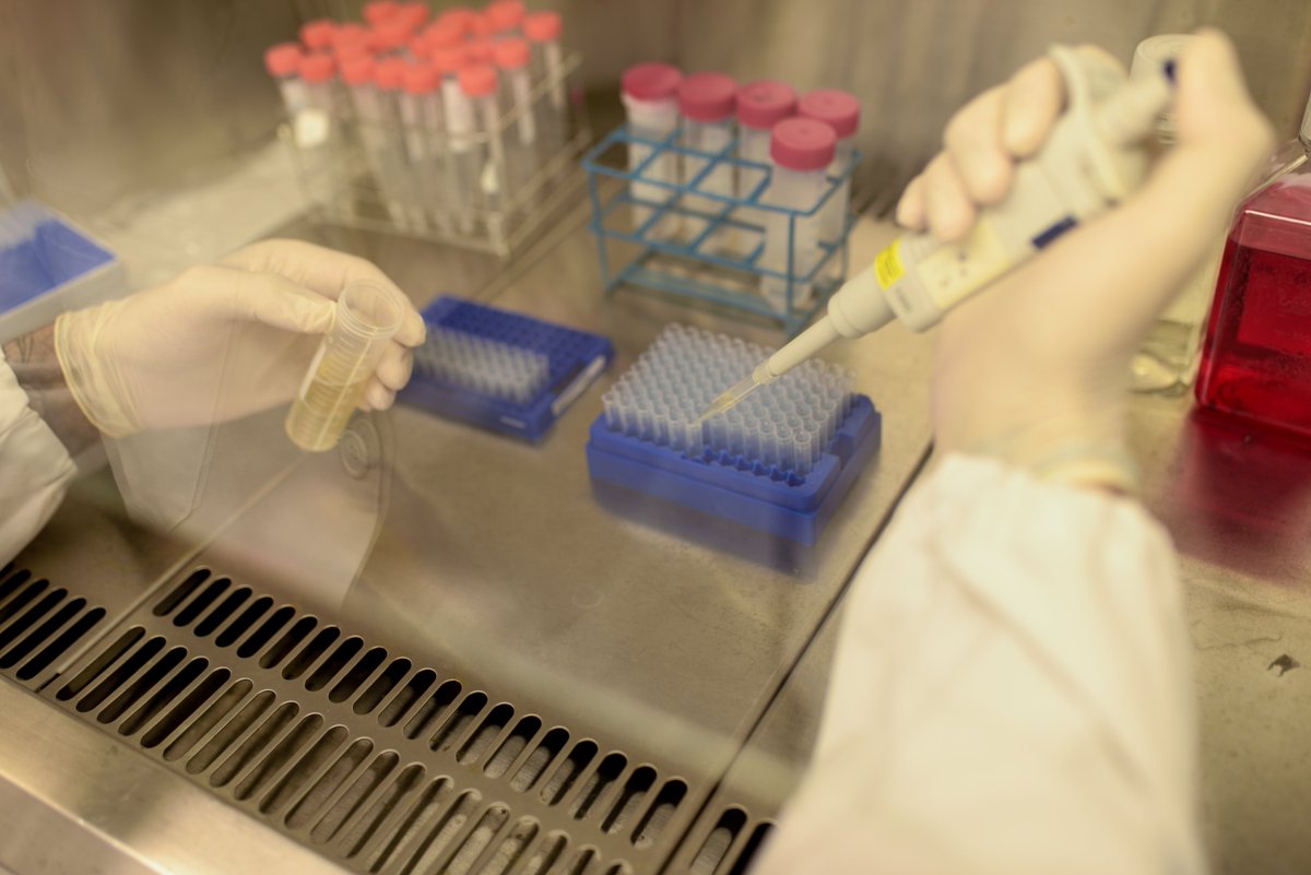 rvbiobancos's tweet photo. 📢¡Buenas noticias! España es 𝐦𝐢𝐞𝐦𝐛𝐫𝐨 𝐝𝐞 𝐩𝐥𝐞𝐧𝐨 𝐝𝐞𝐫𝐞𝐜𝐡𝐨 de @BBMRIERIC
Esto refuerza la voz de nuestros #biobancos y #biomodelos en Europa, abre nuevas oportunidades de colaboración y consolida nuestra proyección internacional🌎🔬
ℹ️https://t.co/6ZoxnAttsB https://t.co/RUI0szmHTo
