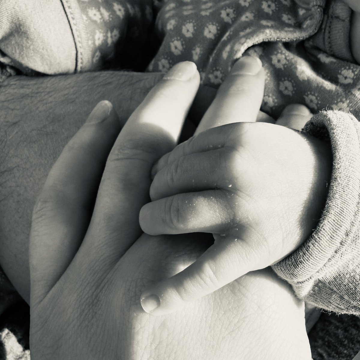 Graeme Littlejohn tweet media