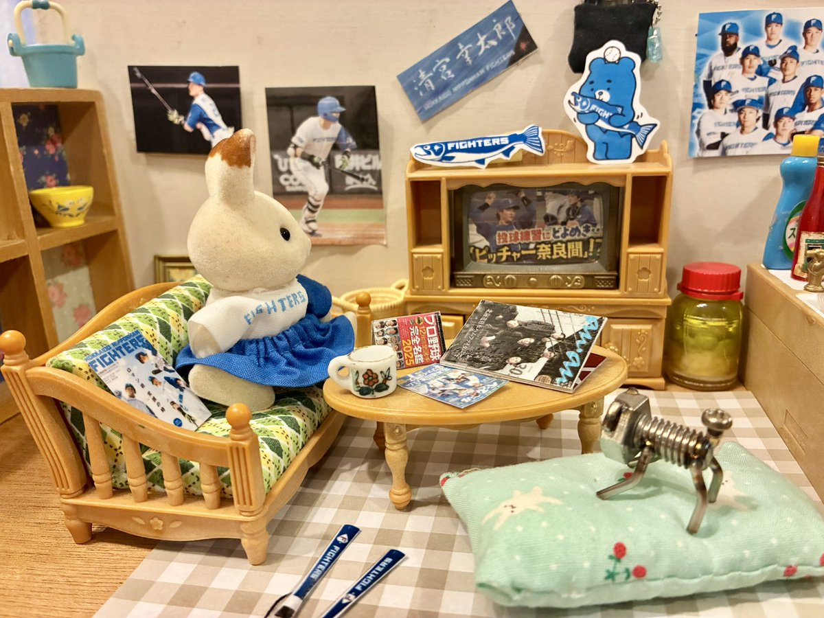 野球沼に

←ハマる前　　　　　ハマった後→

#lovefighters
#シルバニア