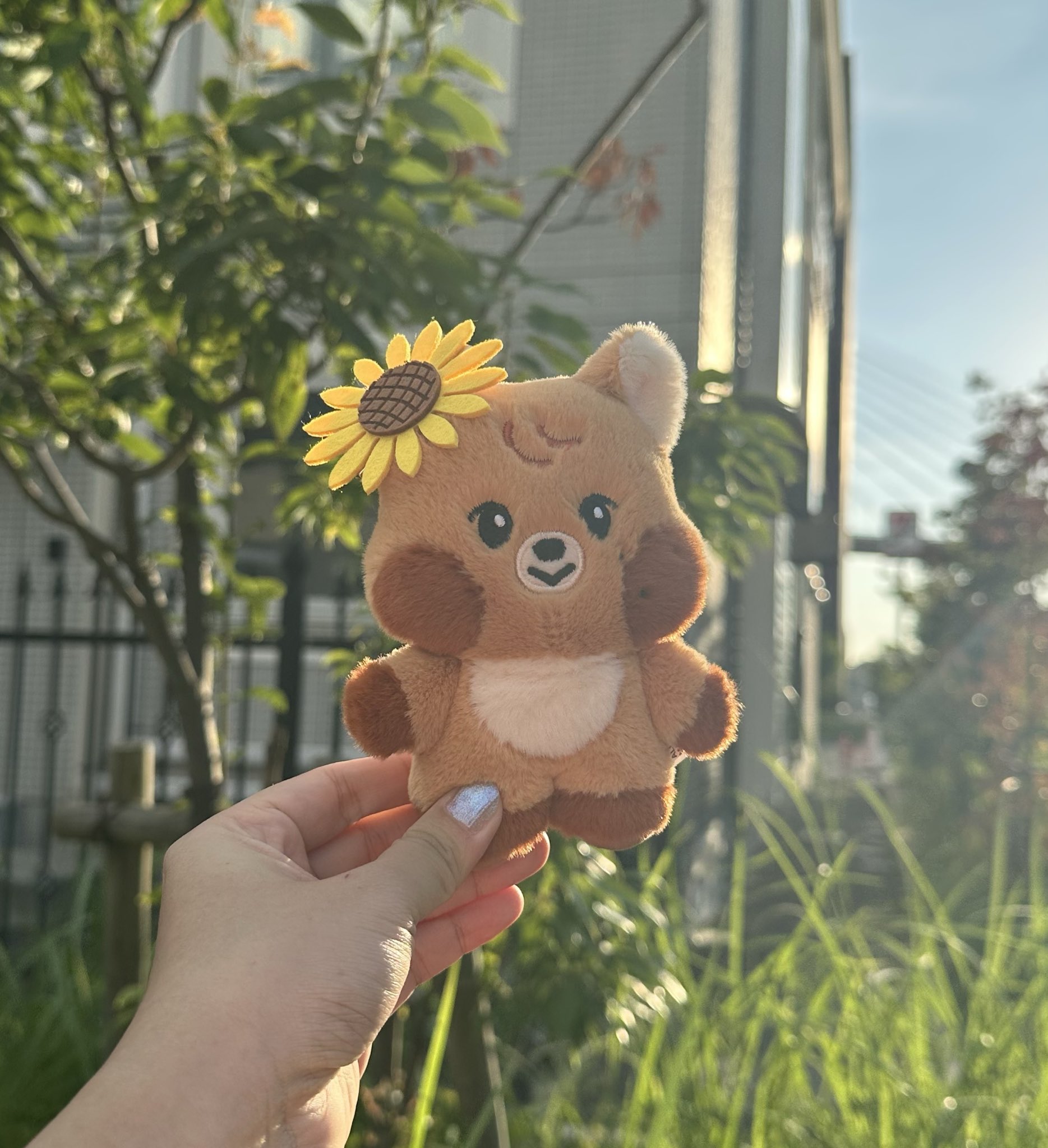 ヘチャン まとめ ヘチャン トレカ まとめ 🐯🐬 on X: