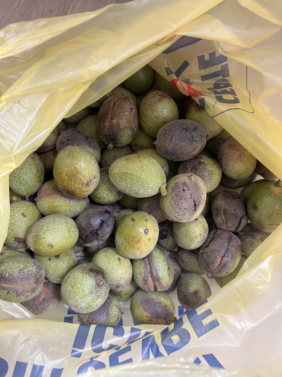 Farkında olmadan kurumda takas usulü alışverişi başlattım. Bir arkadaşa ev yapımı reçel verdim, karşılığında bahçesinden incir getirdi. Birine turşu yaptım verdim, cevizle ödedi. Bir baktım, iki arkadaş salça ile mürdüm eriği takas ediyor. Çok keyifli len.