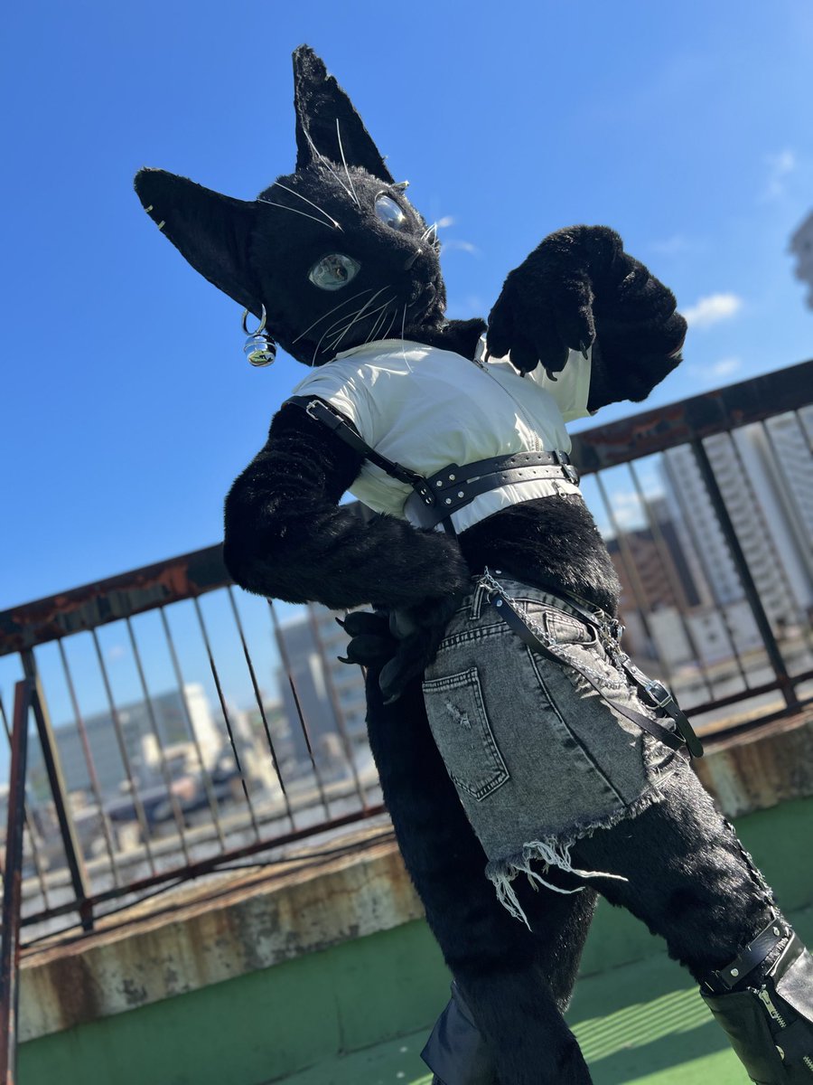 Cool pose!
 #FursuitEveryday 

📸 #Octane_c