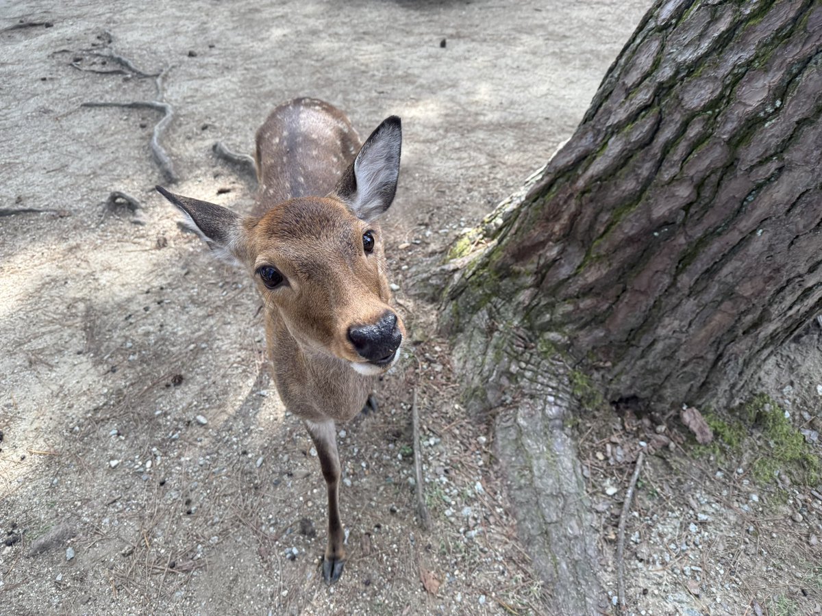 Making a lot of friends today