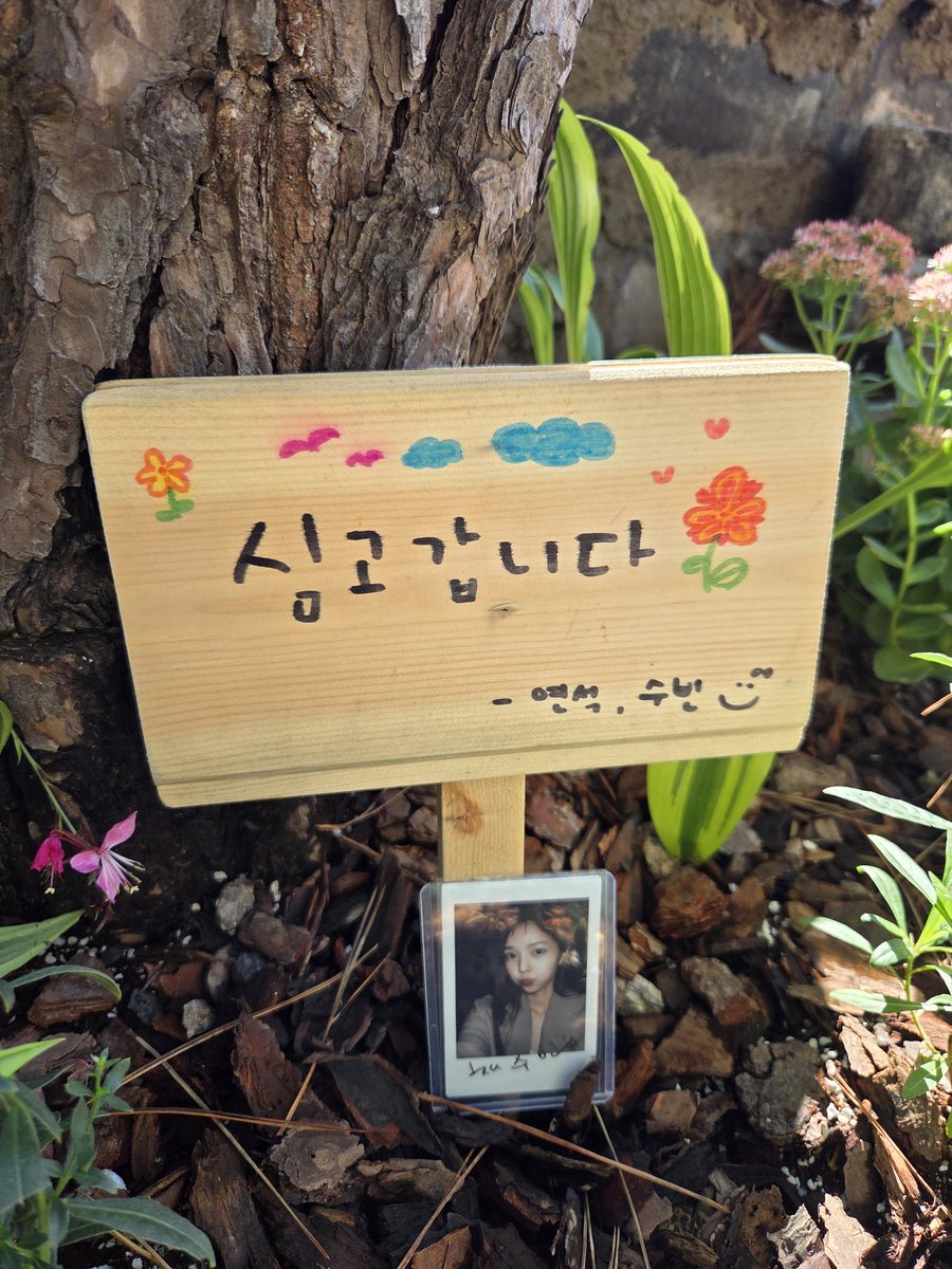 the_soobinparty's tweet image. 수빈님과 연석님이 심고가신 틈바구니 뜰을
날씨가 맞아 가본! (응봉 신동아아파트 앞 응봉산쪽 가는 육교입구, 예고사진 찍은곳 바로옆이 심은곳)

#채수빈 #유연석 #chaesoobin #yooyeonseok #심고갑니다 #주말연석극 #응봉동 #eungbongdong