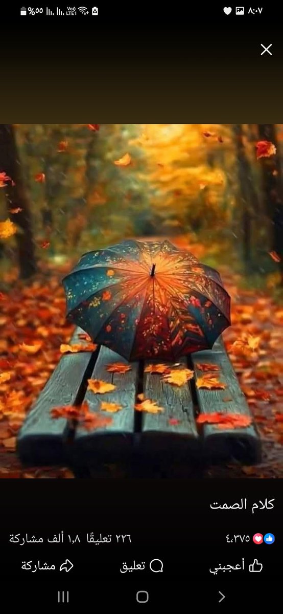 تتساقط أوراق الخريف🍁
كما تتساقط أوراق من حياتنا🍂
                   ويبقى حنين الذكريات