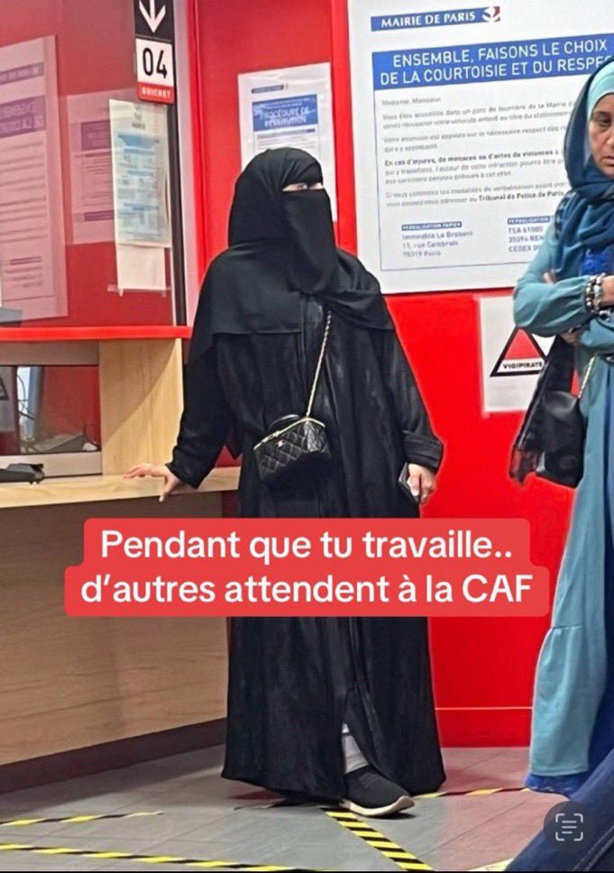 Wolf 🐺 tweet media