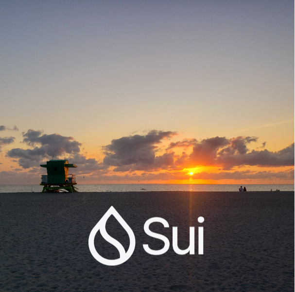 Kasio.sui tweet media