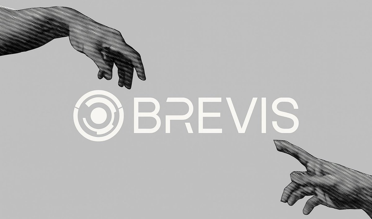 UmarOfWeb3's tweet image. GM zkBelievers

I thought of something this morning.

While Everyone tryna make blockchains faster…
Meanwhile @brevis_zk out here making them smarter, stealthier, and fully connected

ZkProofs flying cross-chain like passports stamped for every rollup

The future isn’t just fast…