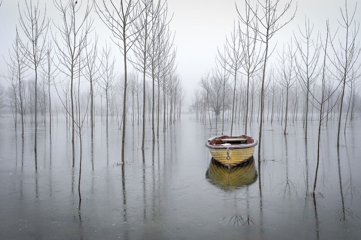 agroklub's tweet image. I ovogodišnji je izbor potvrdio da ruralni krajevi kriju prekrasne motive 💚
Uživajte u naboljim kadrovima #RuralFoto 2025 🤟📸

Više o dobitnicima nagrada na portalu:
agroklub.com/poljoprivredne…

Kako je bilo na dodjeli priznanja, pogledajte u galeriji:
agroklub.com/agrogalerija/p……