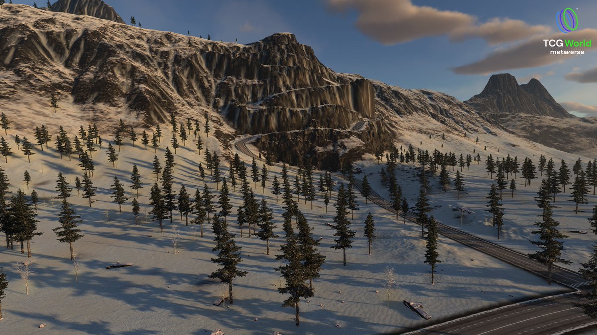 JonDixonTCG tweet media