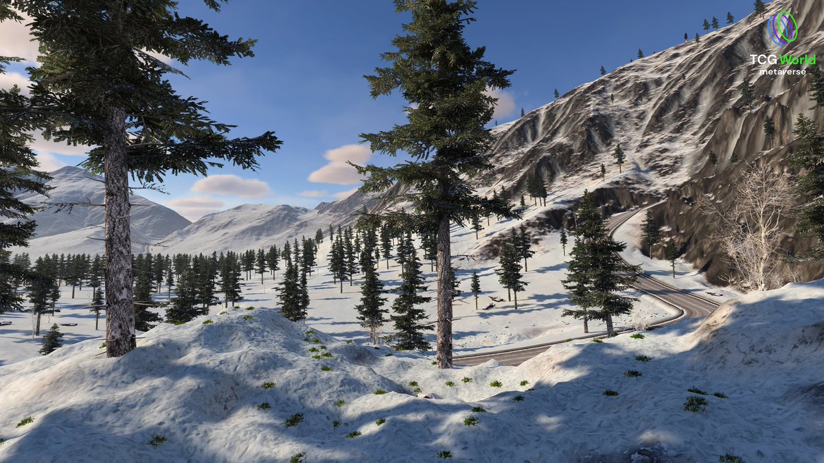 JonDixonTCG tweet media