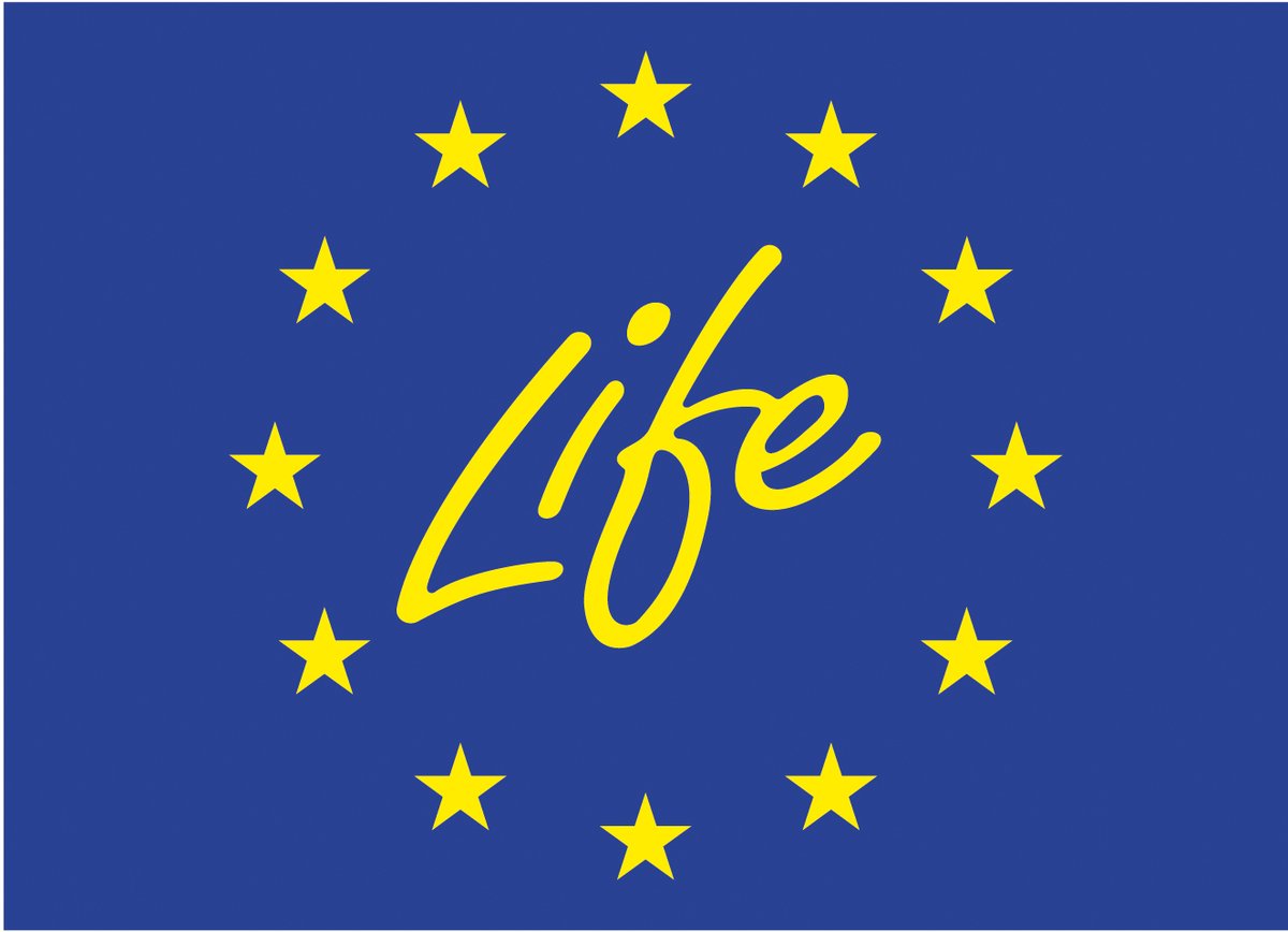 PalomaAbaEU's tweet image. A record for the #LIFEProgramme!
1,095 applications across 4 sub-programmes — up 22% vs 2024.
Meet us this week at:
📍 Pollutec (Lyon)
📍 EUROPARC (Birštonas)
📍 Sustainable Places (Milan)
More info: link.europa.eu/GjP6qh