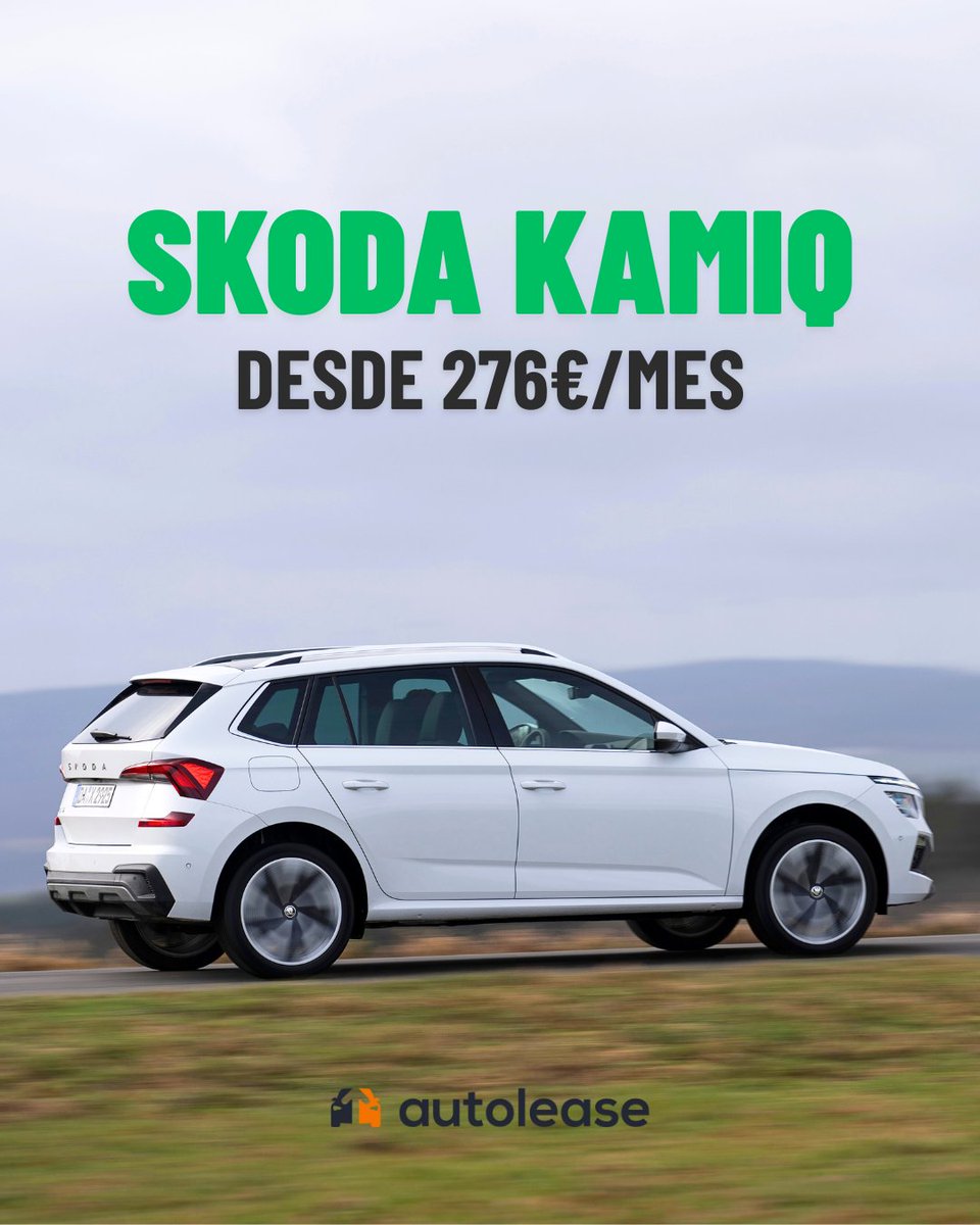 Autolease | Renting de coches tweet media
