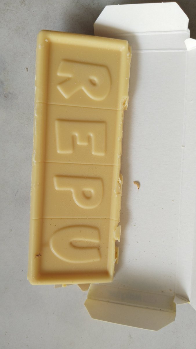 Yashwanth886011's tweet image. Hi @NestleIndia I have received a spoilt milkybar having no silver foil and changed colour from white to yellowish. Mfg 05/25 and exp is 01/26 and lot number 5128C711AB. It has worm inside the pack. Can you please help me with a refund @NestleCare #CustomerService #qualityissue