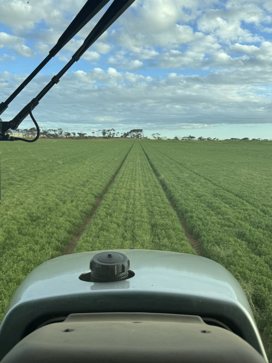 Matt McDonald tweet media