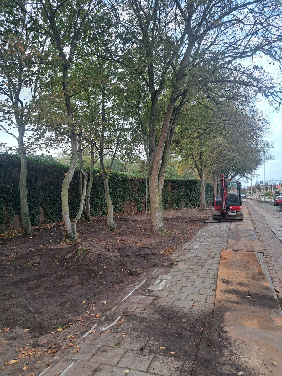 ptvanderplas's tweet photo. De groenvakken ten zuidoosten van de Parklaan in Katwijk aan Zee worden de komende weken vervangen. Het groen op de rotonde, thv Sportlaan, wordt vervangen door kruidenrijke beplanting. Het groen langs Salem en begraafplaats Duinrust krijgt  vaste en kruidenrijke beplanting. https://t.co/YtPjb1uRgX