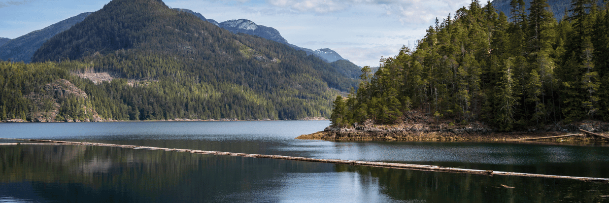 Canadian Visa App tweet media