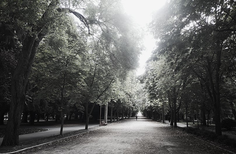 Manuel Machado en Burgos. Crónica de una clase: laacequia.blogspot.com/2025/10/manuel…
