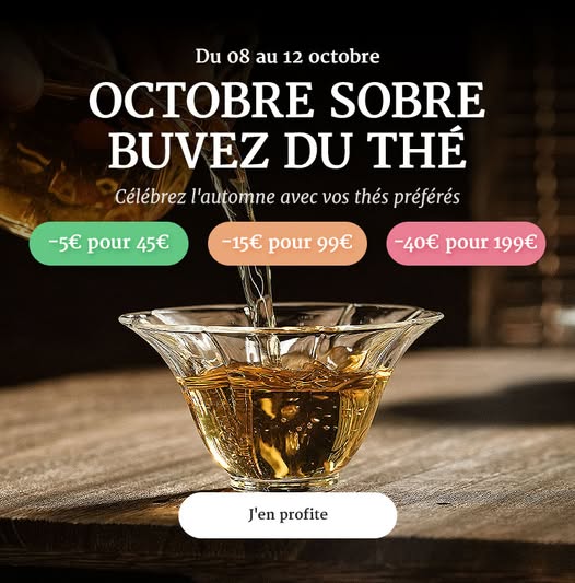 TheCalinFrance's tweet photo. Installez-vous confortablement et économisez 5€ pour 45€, 15€ pour 99€ ou 40€ pour 199€ https://t.co/lWEF1Xp1K9