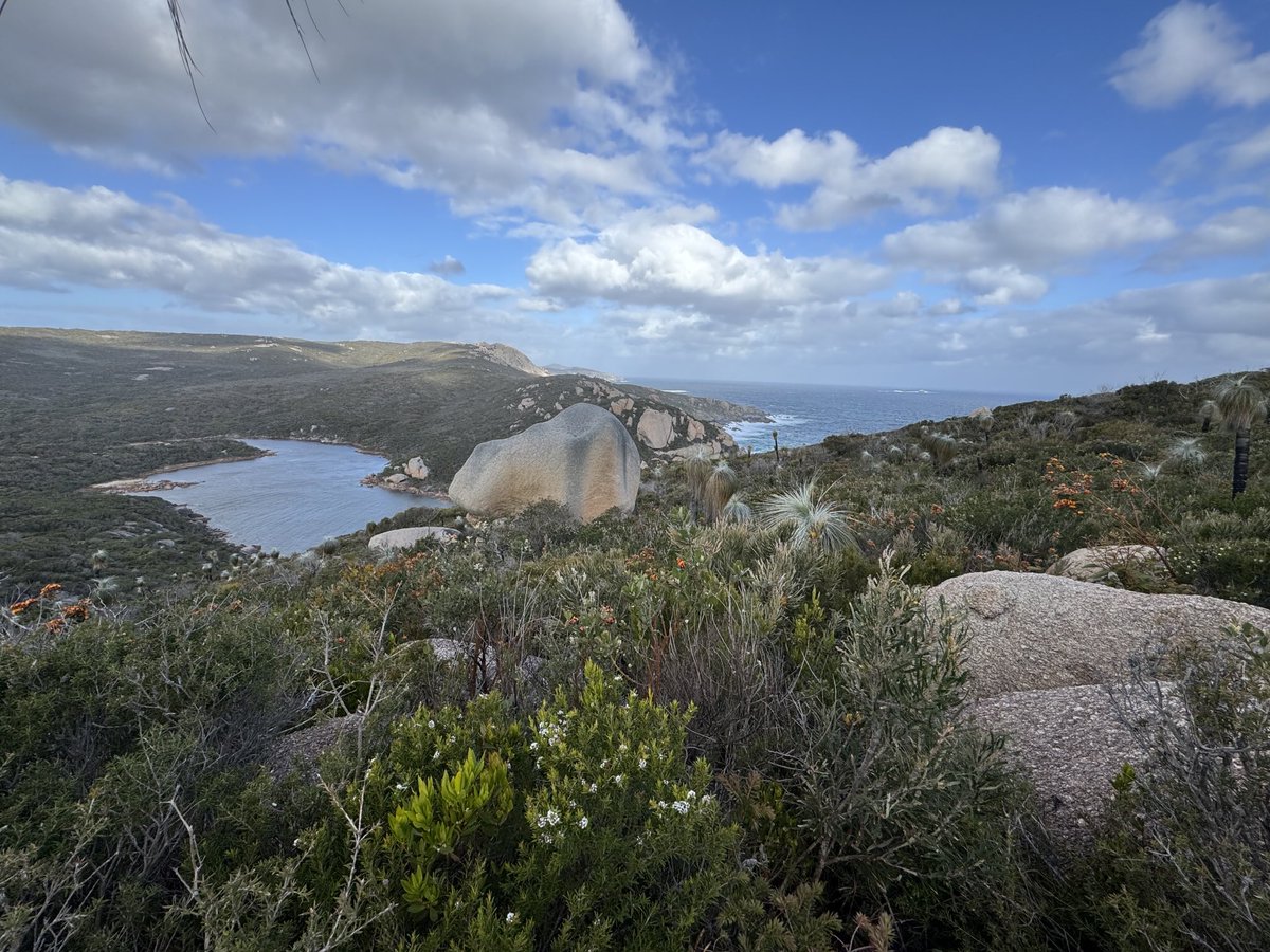 Today’s office is exceptional!