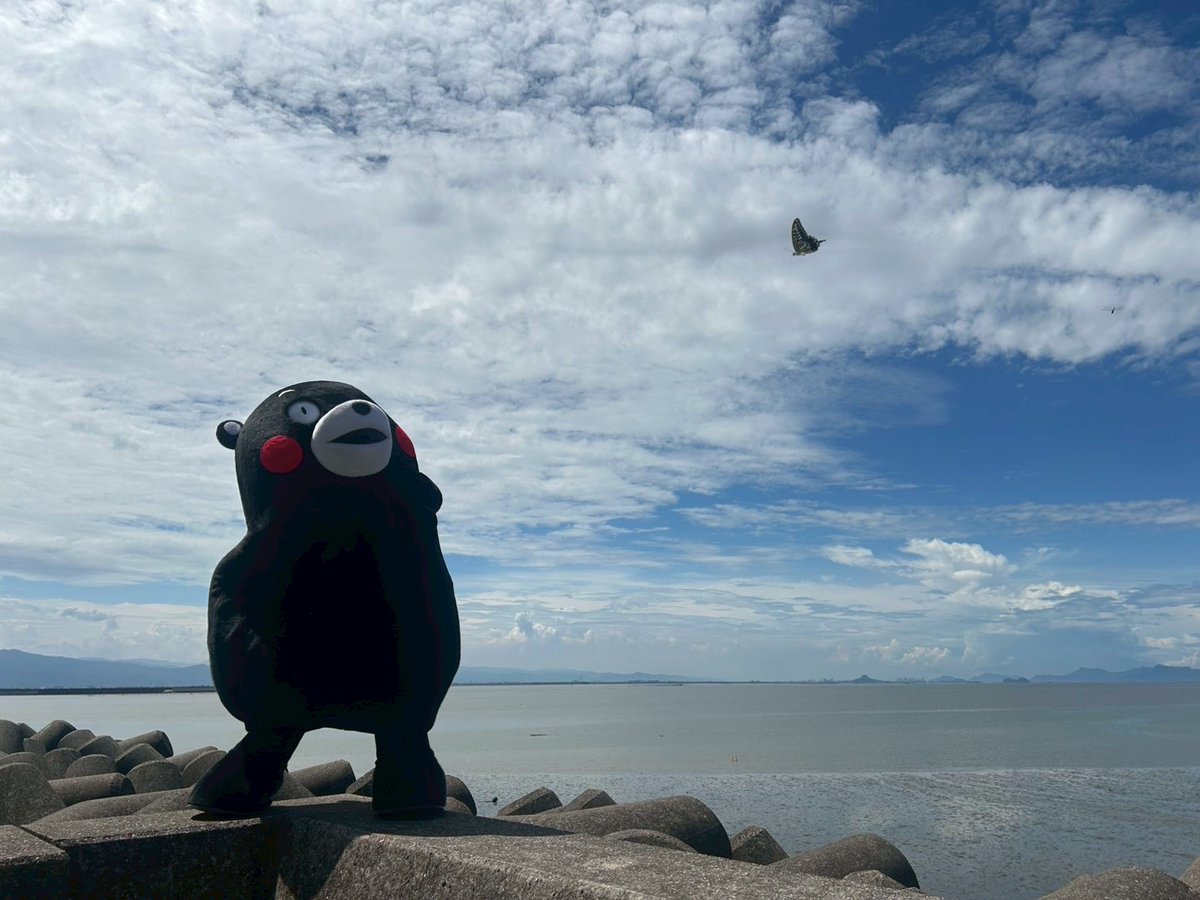 おはくま〜！よ〜し、行くかモン☆