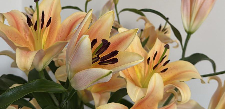 ☁️ (@vzrwi) on Twitter photo 