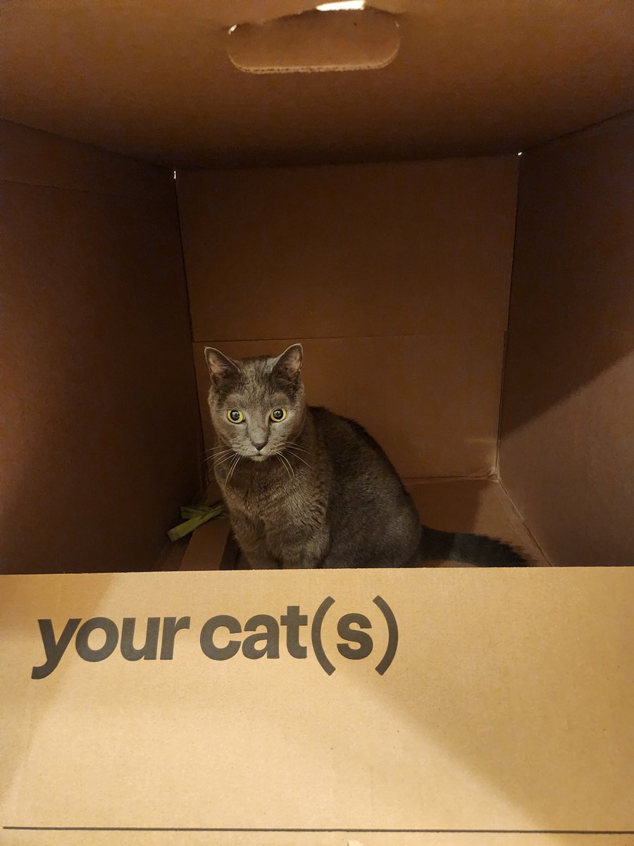 Pixel passed away Monday morning.  It was getting pretty bad for him, but he managed to have a good last 24 hours filled with lunch meat and rubs.  I'm gonna miss him so damn much.