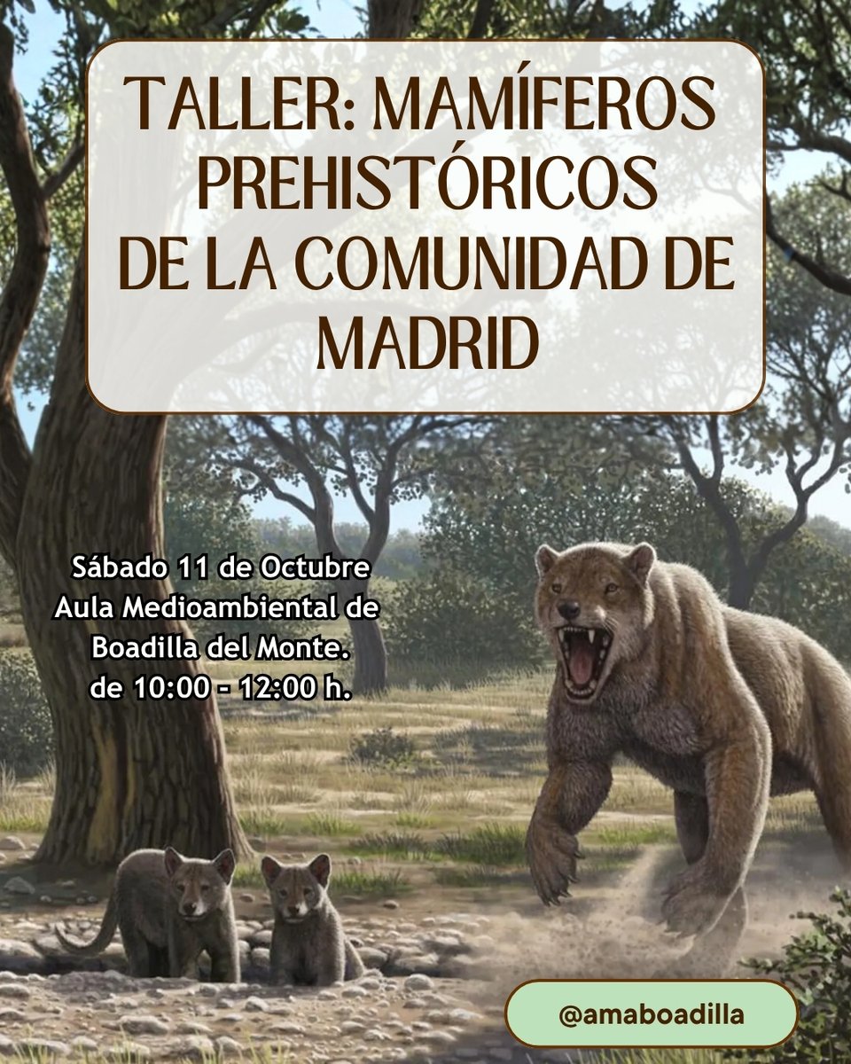 amaboadilla (@amaboadilla) on Twitter photo Ven a conocer a los gigantes del pasado que pasearon por los alrededores de Madrid. Analizaremos réplicas de sus cráneos, aprenderemos sus nombres jugando y nos llevaremos un pequeño molde negativo en pasta piedra. ¡Últimas plazas! Info en amaboadilla@gmail.com Ven a conocer a los gigantes del pasado que pasearon por los alrededores de Madrid. Analizaremos réplicas de sus cráneos, aprenderemos sus nombres jugando y nos llevaremos un pequeño molde negativo en pasta piedra. ¡Últimas plazas! Info en amaboadilla@gmail.com
