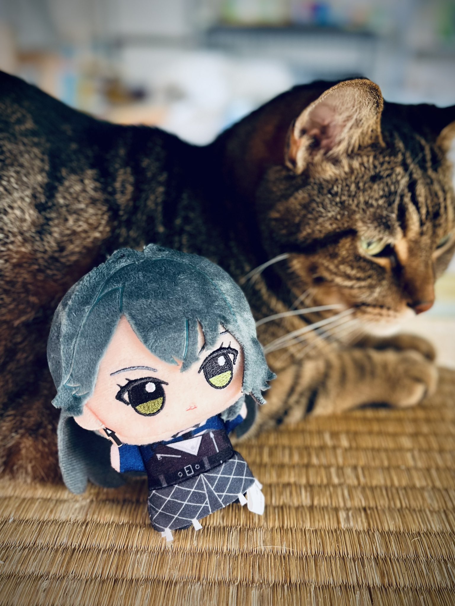 とりリリース on X: 